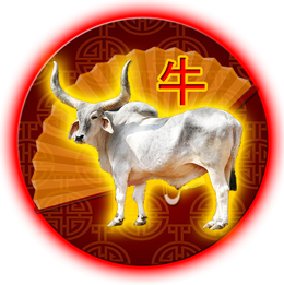 奥斯2021年中国的星座运势